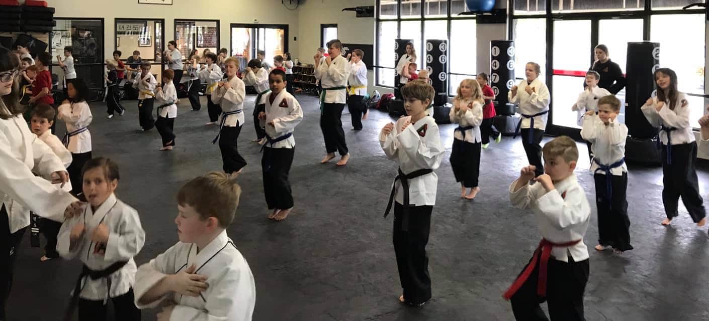 Contreras Martial Arts Academy Rank Testing Preparation